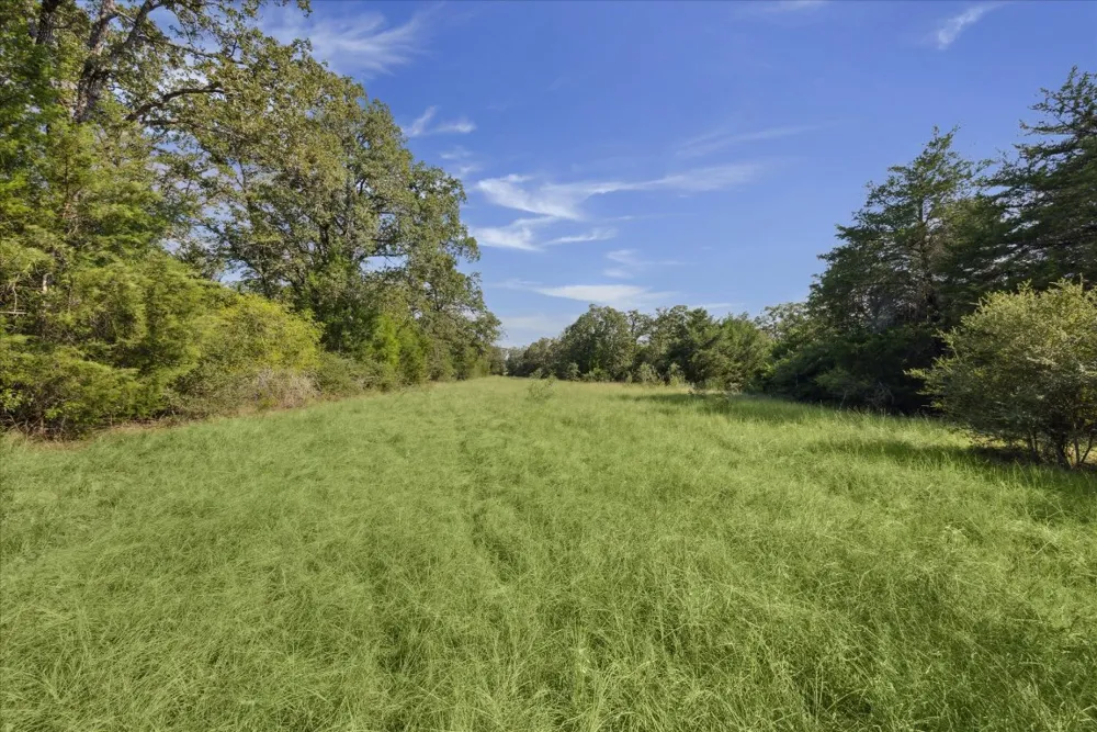 29 Walleye Creek Trail Lexington, TX 78947