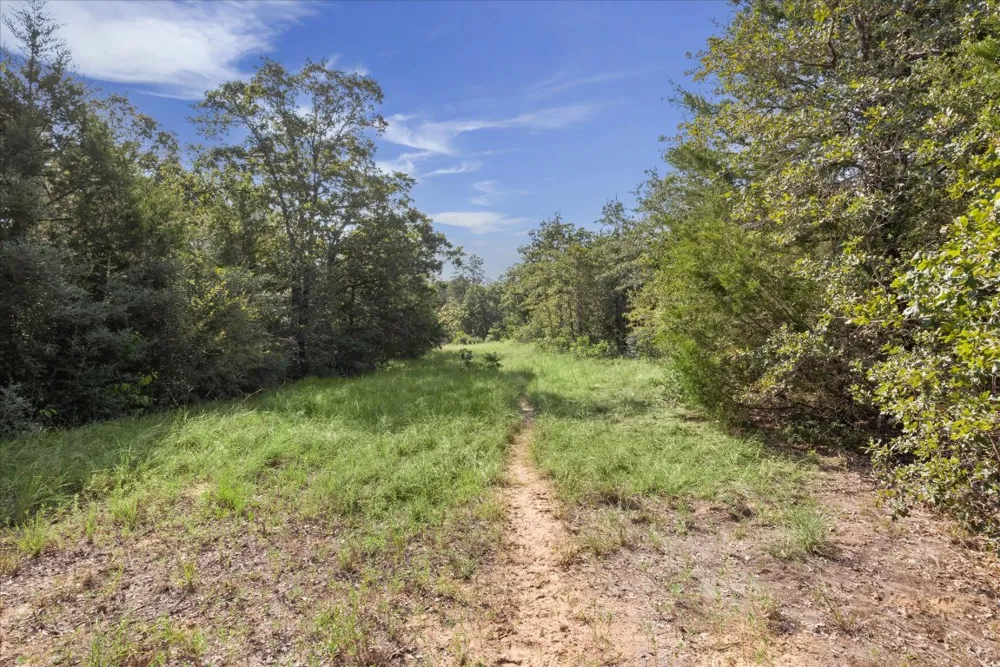 29 Walleye Creek Trail Lexington, TX 78947