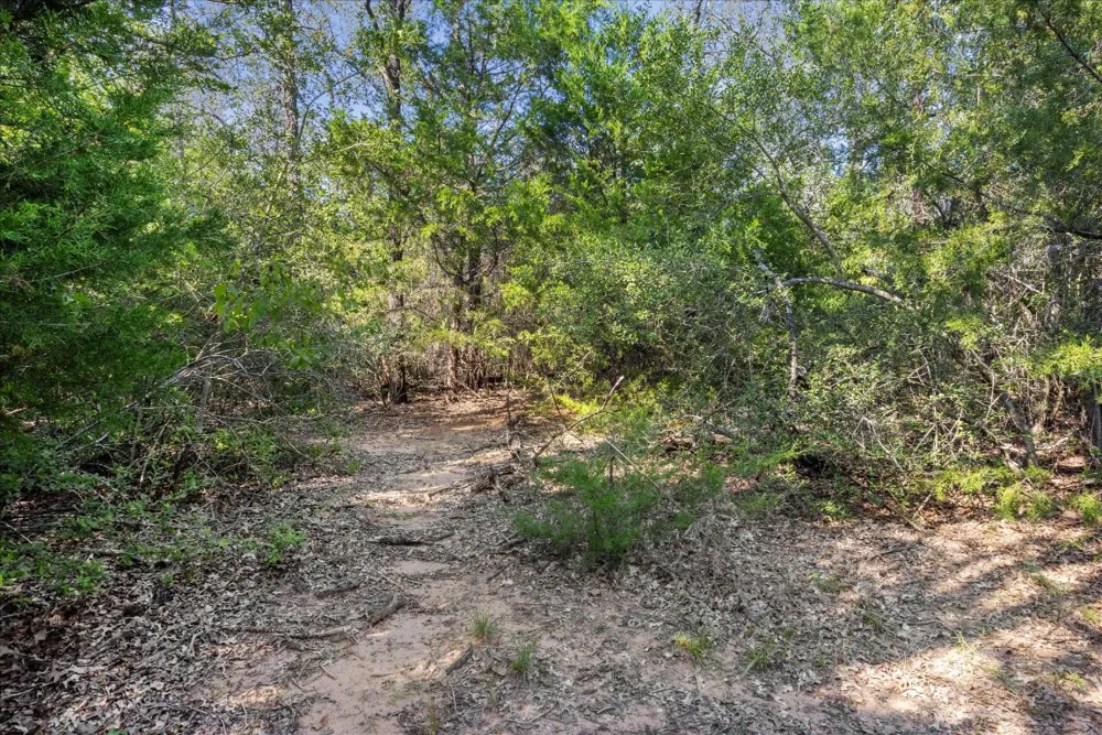 29 Walleye Creek Trail Lexington, TX 78947