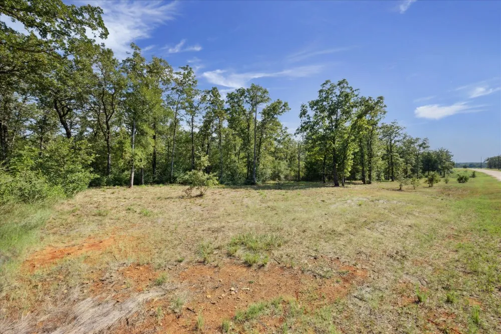 29 Walleye Creek Trail Lexington, TX 78947