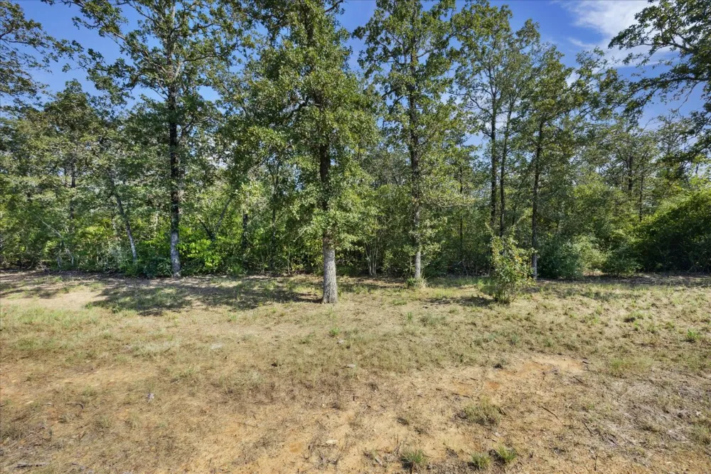 29 Walleye Creek Trail Lexington, TX 78947