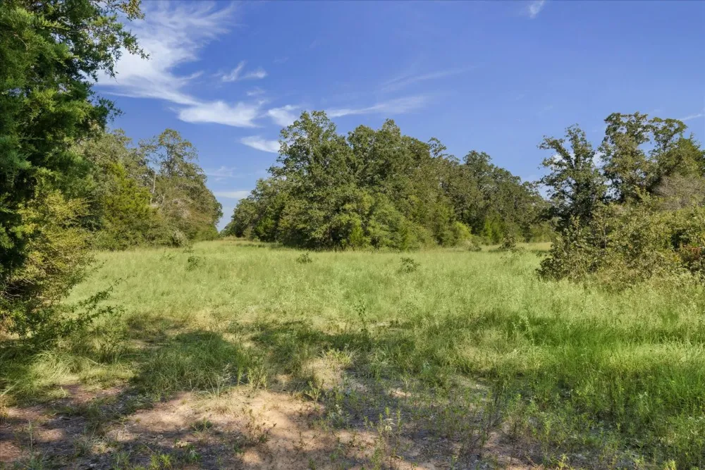 29 Walleye Creek Trail Lexington, TX 78947
