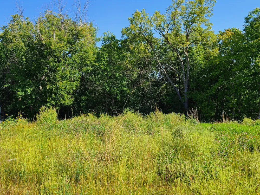 1050 Old Long Lake Road Long Lake, MN 55391