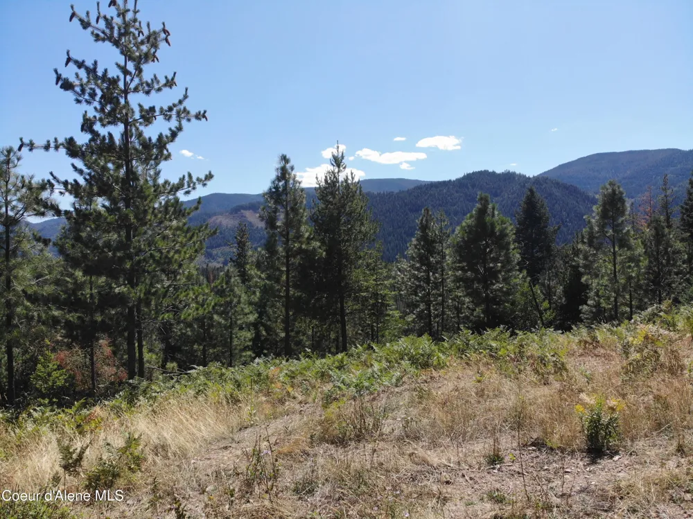 905 Terror Gulch Road Osburn, ID 83849