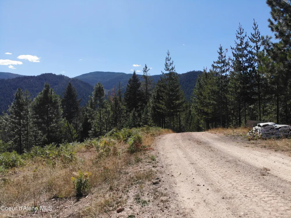 905 Terror Gulch Road Osburn, ID 83849