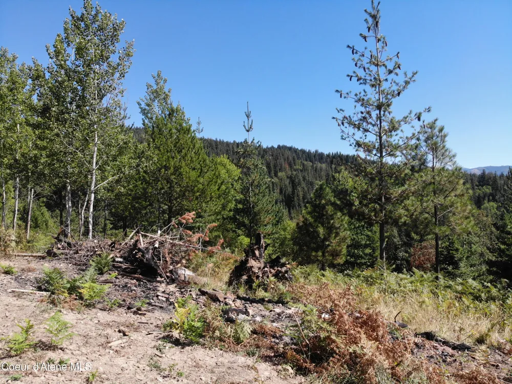 905 Terror Gulch Road Osburn, ID 83849