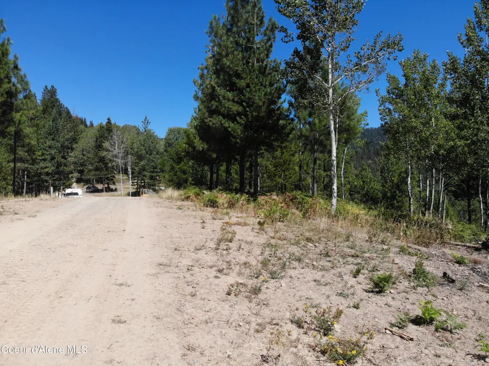 905 Terror Gulch Road Osburn, ID 83849