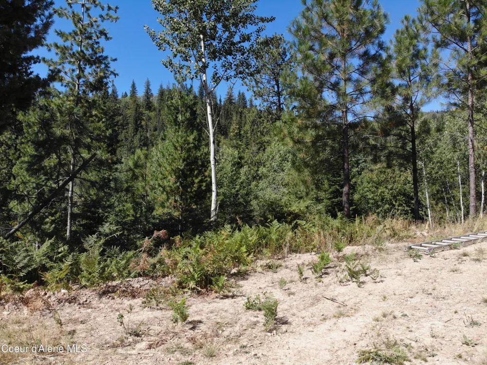 905 Terror Gulch Road Osburn, ID 83849