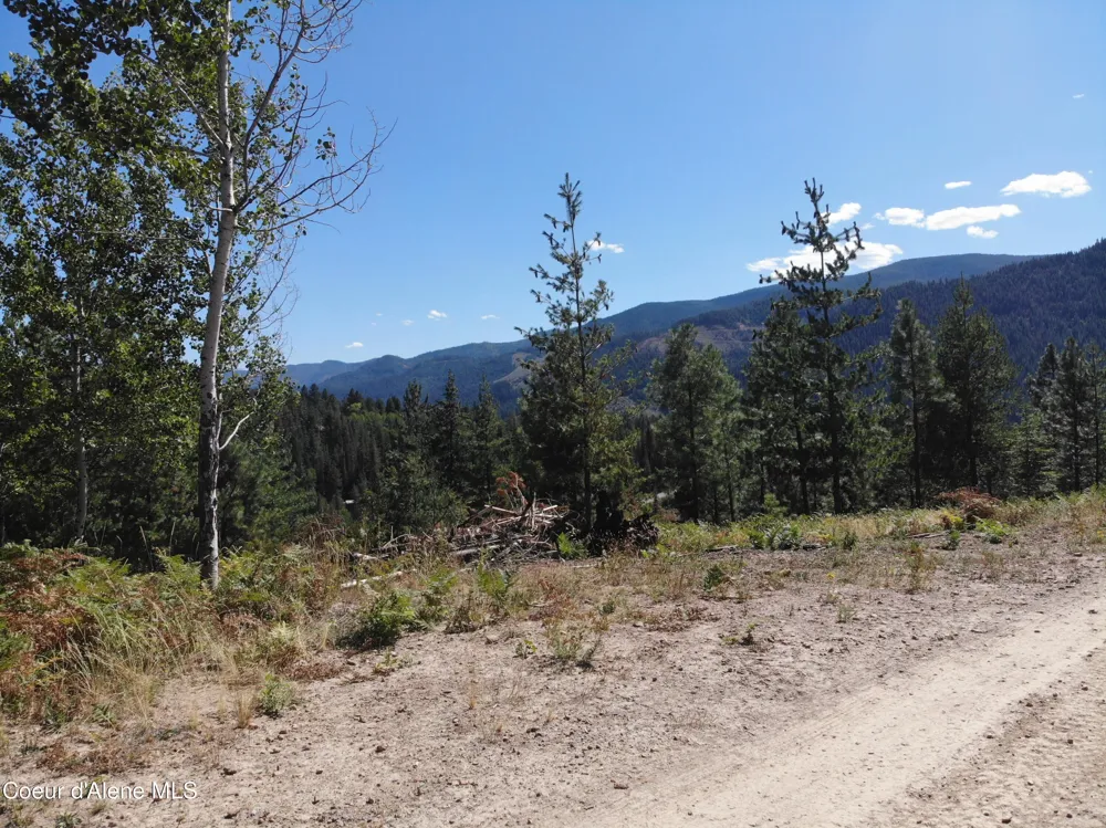 905 Terror Gulch Road Osburn, ID 83849