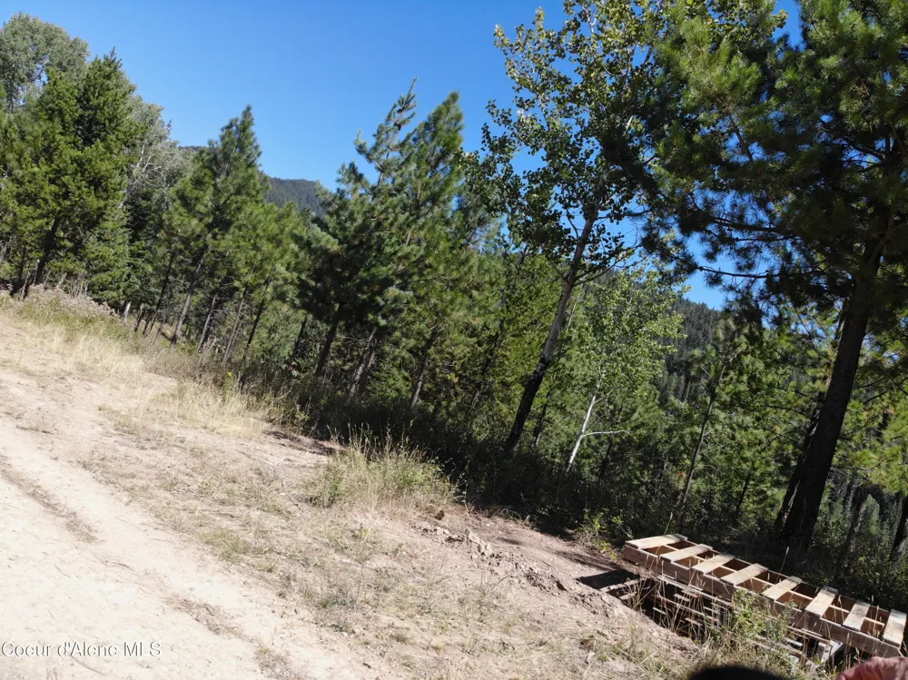 905 Terror Gulch Road Osburn, ID 83849