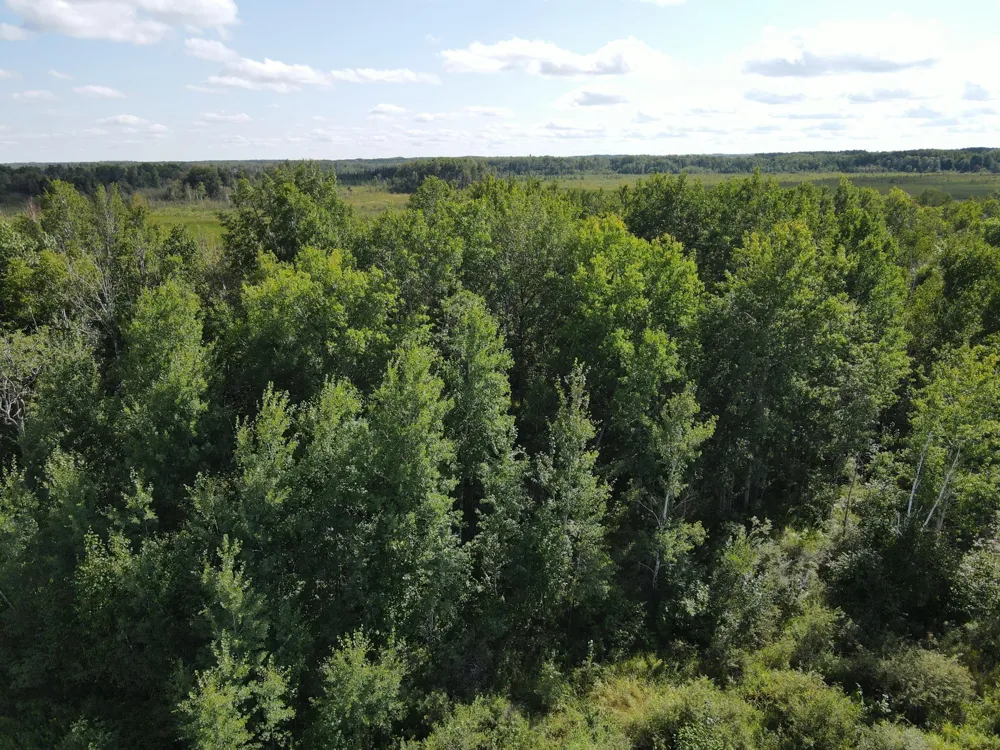 24007 Kestrel Avenue McGrath, MN 56350