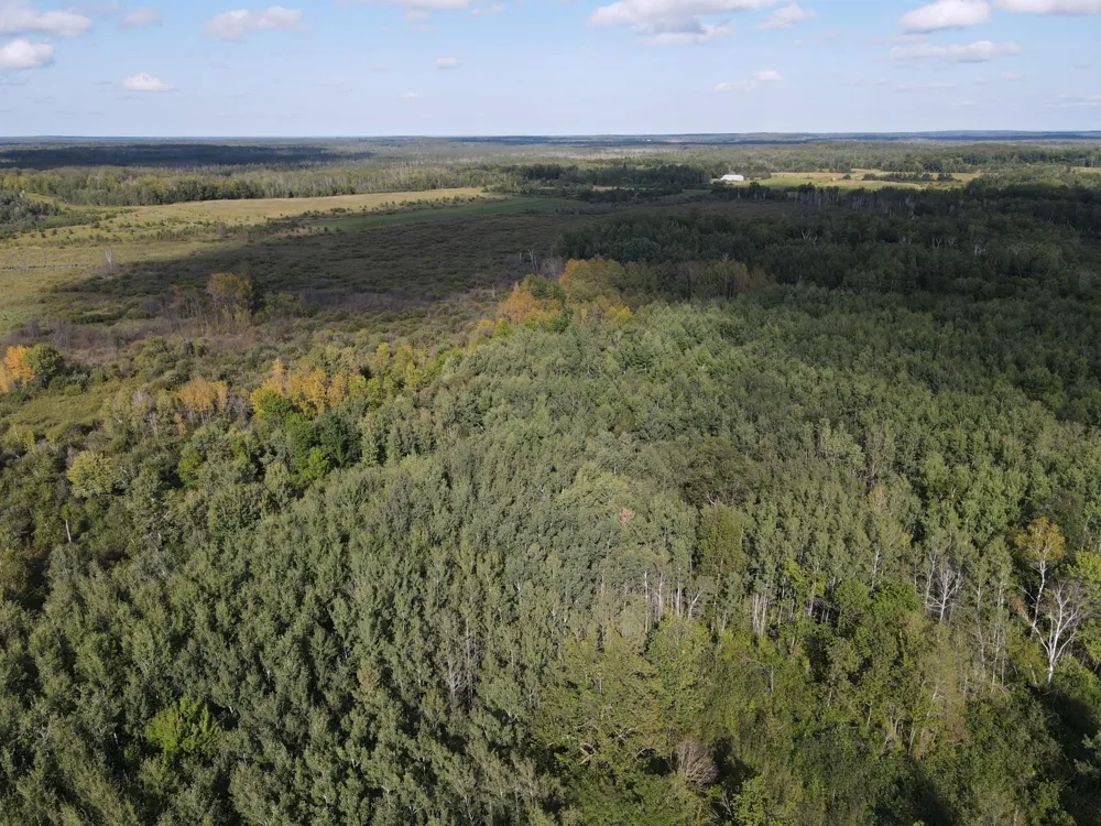 24007 Kestrel Avenue McGrath, MN 56350