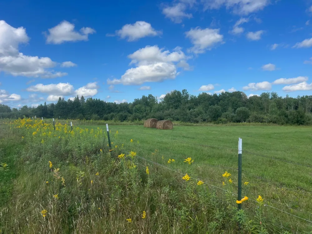 24007 Kestrel Avenue McGrath, MN 56350