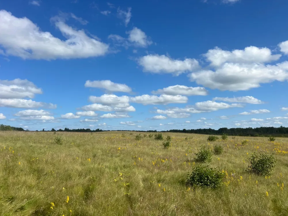 24007 Kestrel Avenue McGrath, MN 56350