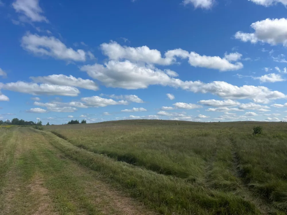 24007 Kestrel Avenue McGrath, MN 56350