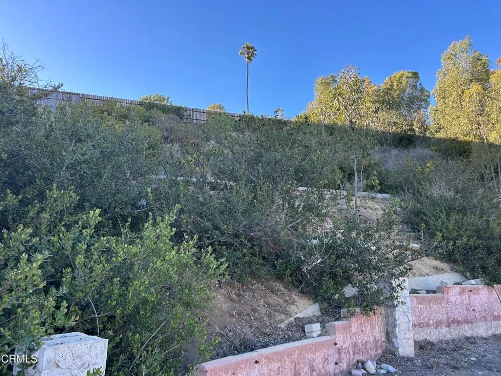 1690 Buena Vista Street Ventura, CA 93001