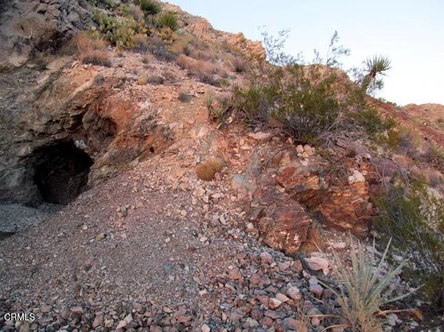 65845 Cima Road Nipton, CA 92309