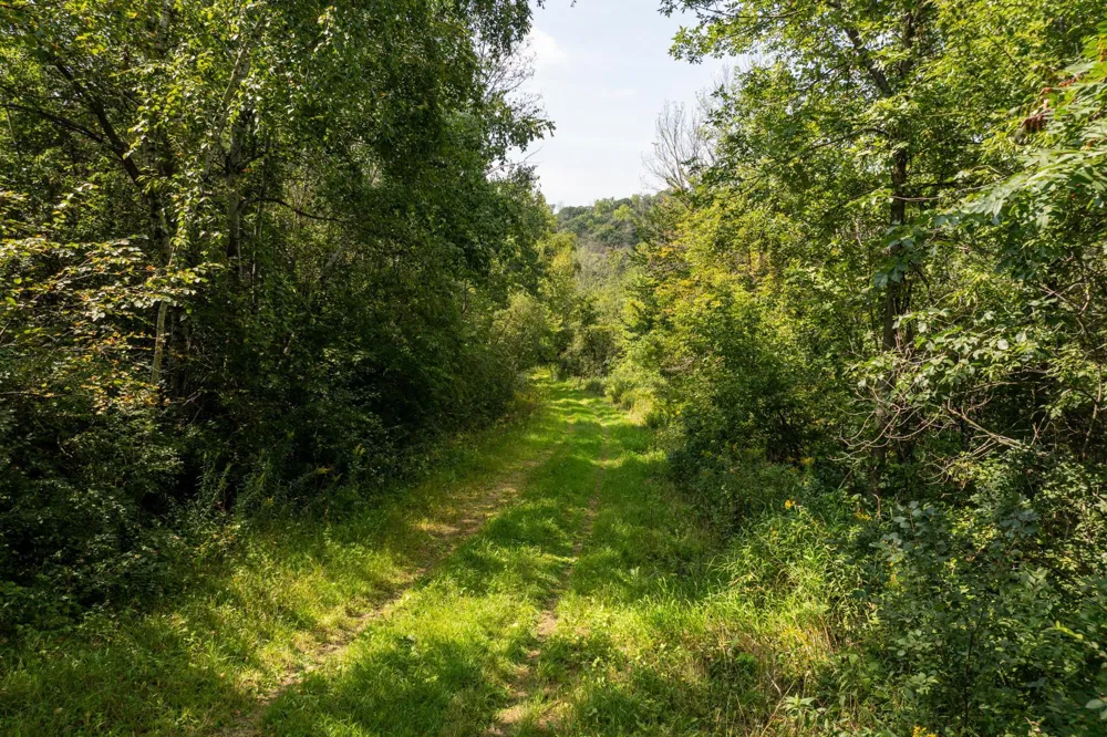16XXX Welch Short Cut Welch, MN 55089