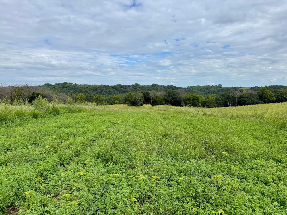16XXX Welch Short Cut Welch, MN 55089