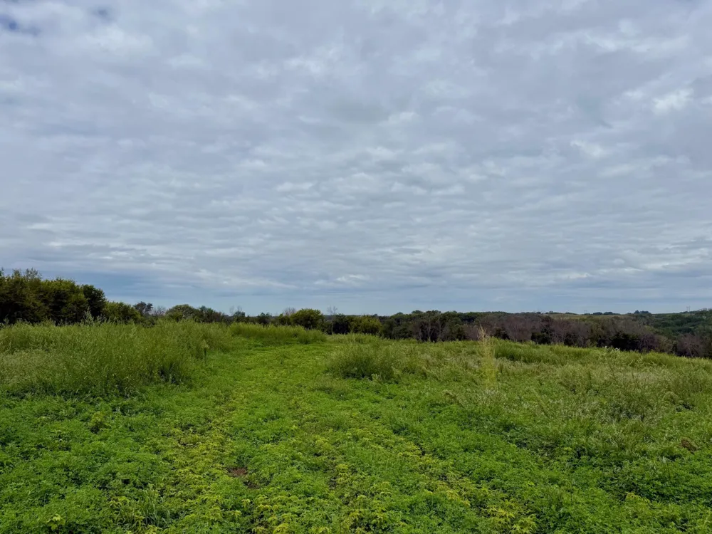 16XXX Welch Short Cut Welch, MN 55089