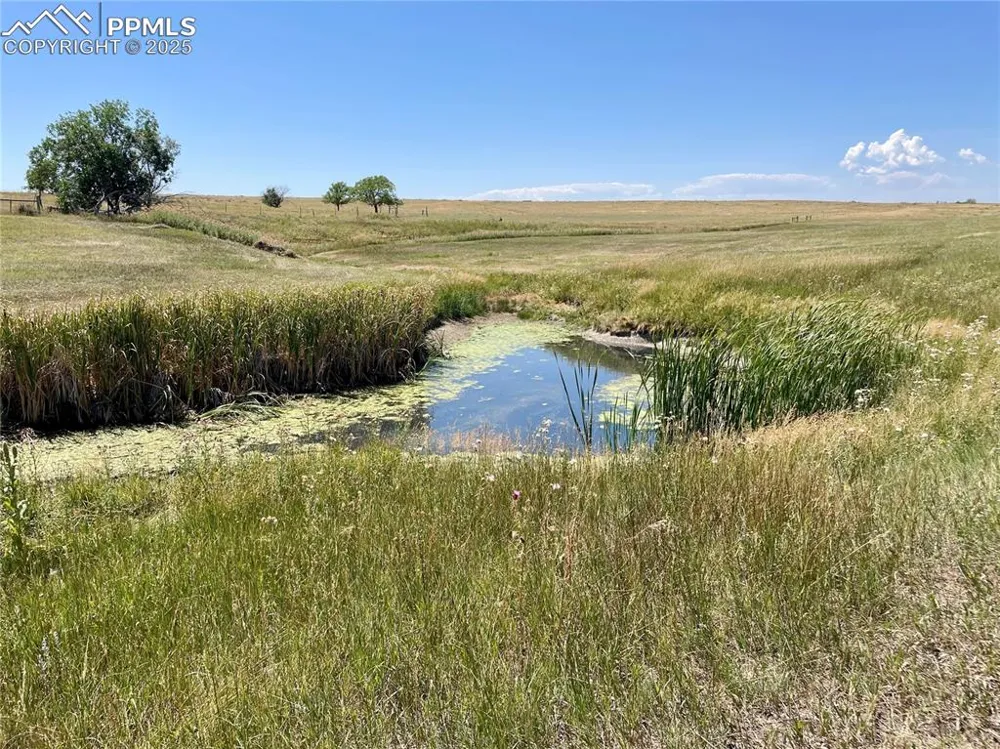20655 County Road 101 Ramah, CO 80832