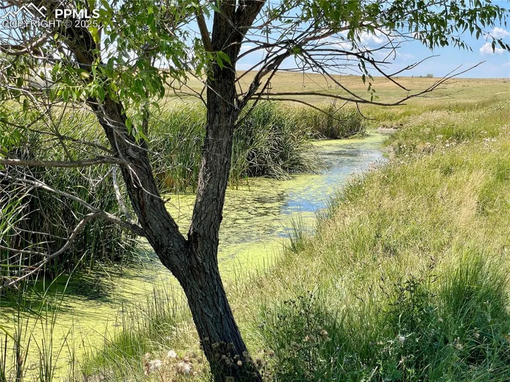 20655 County Road 101 Ramah, CO 80832