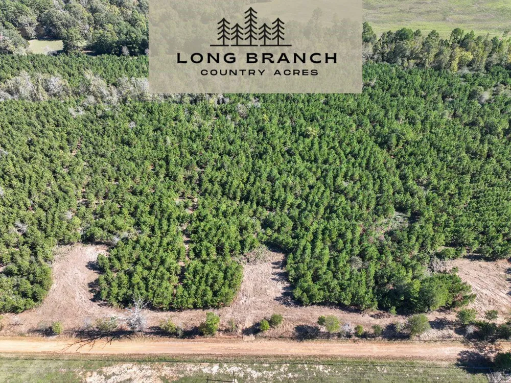 7 County Road 3121 Long Branch, TX 75669