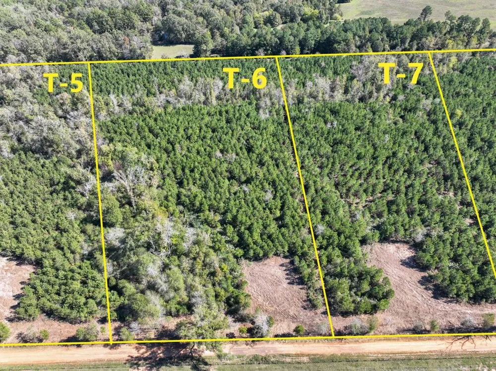 7 County Road 3121 Long Branch, TX 75669