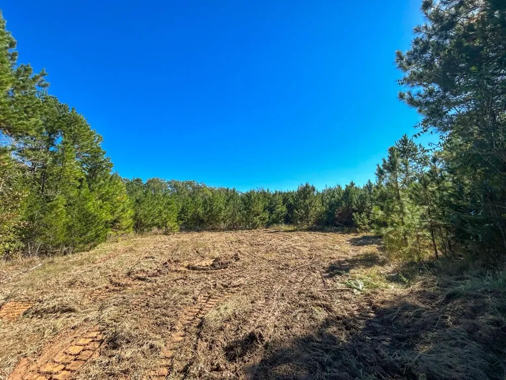 7 County Road 3121 Long Branch, TX 75669