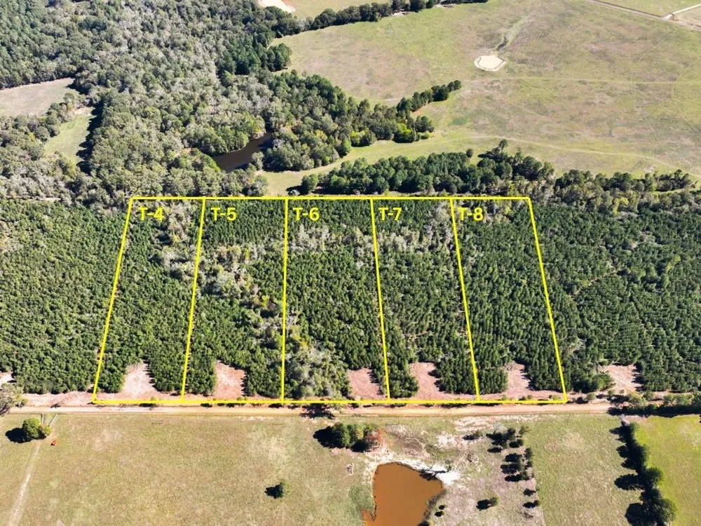 6 County Road 3121 Long Branch, TX 75669