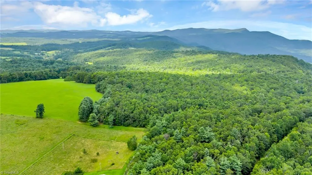 TBD Murphy Bend Road Ennice, NC 28623