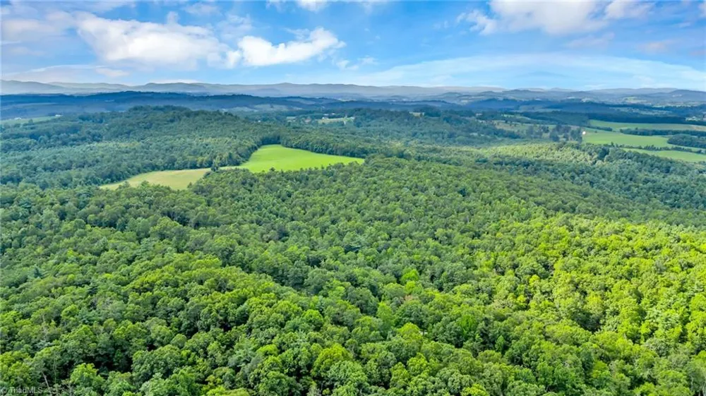 TBD Murphy Bend Road Ennice, NC 28623
