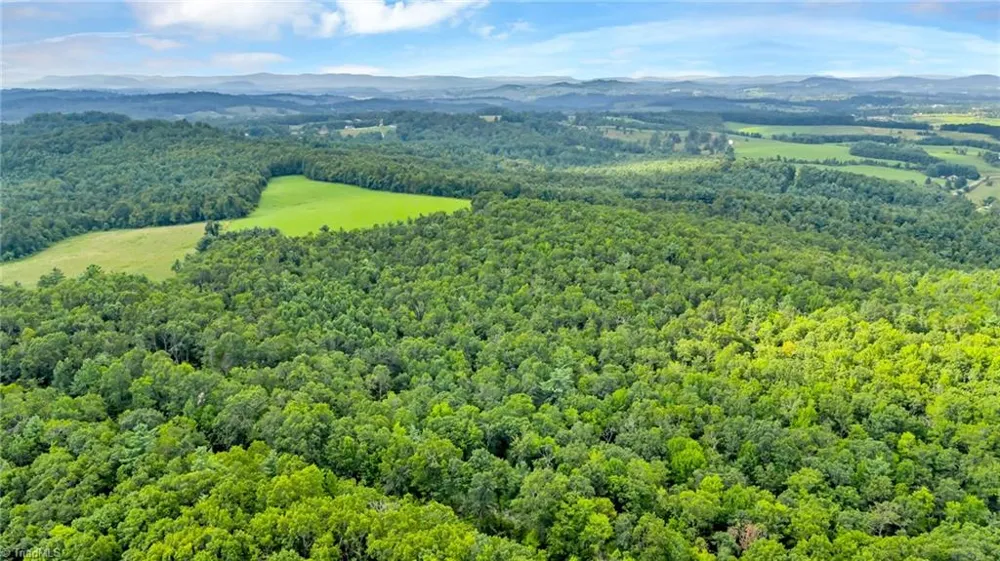 TBD Murphy Bend Road Ennice, NC 28623