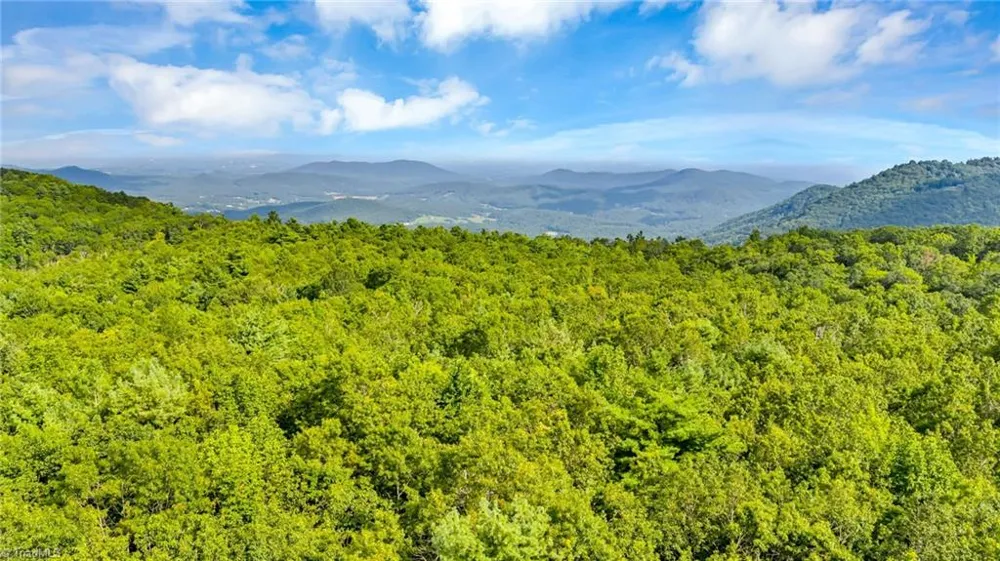 TBD Murphy Bend Road Ennice, NC 28623