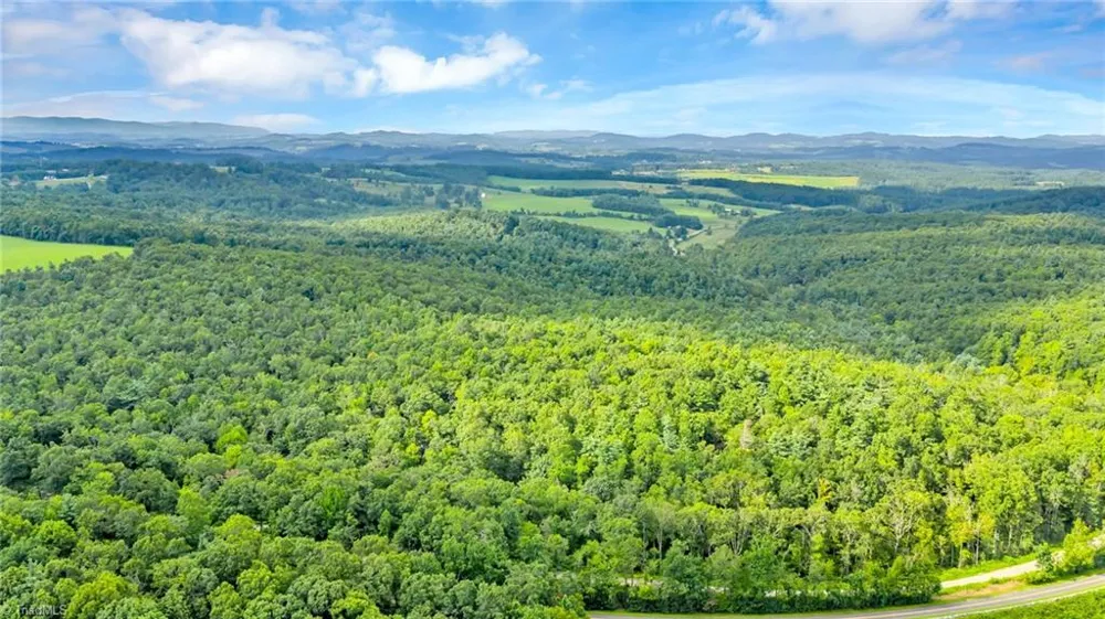 TBD Murphy Bend Road Ennice, NC 28623