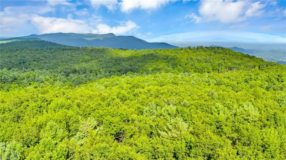 TBD Murphy Bend Road Ennice, NC 28623