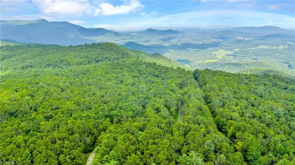 TBD Murphy Bend Road Ennice, NC 28623