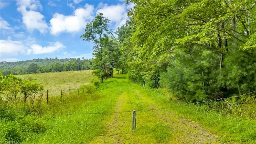 TBD Murphy Bend Road Ennice, NC 28623