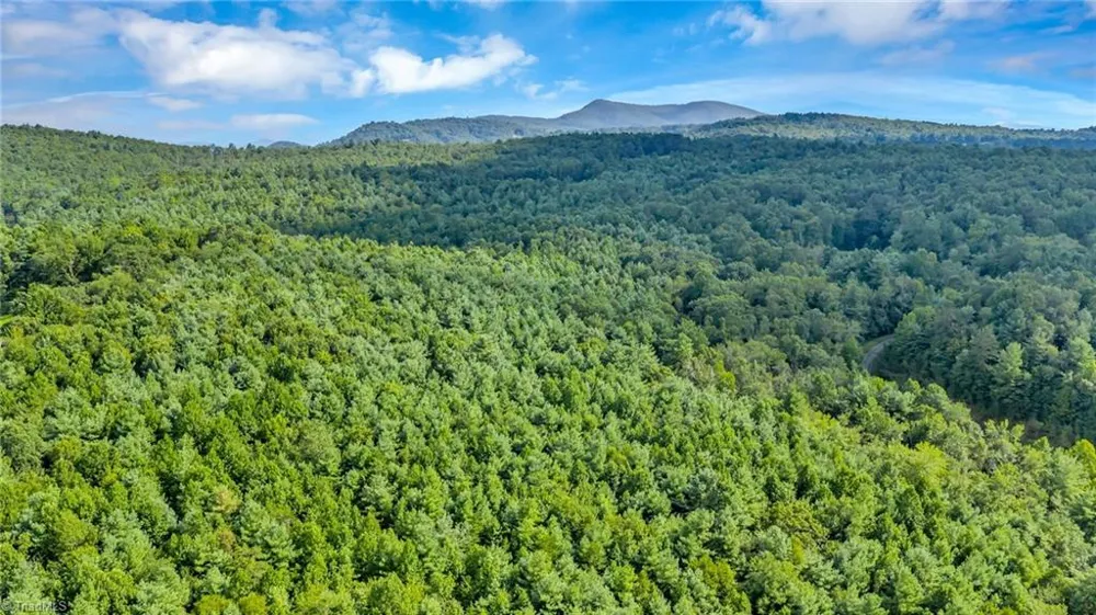 TBD Murphy Bend Road Ennice, NC 28623