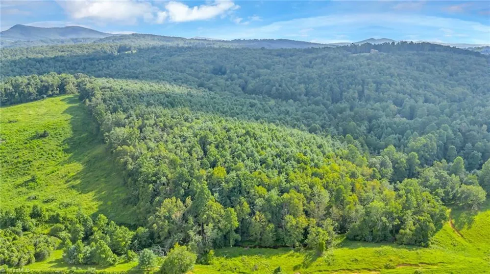 TBD Murphy Bend Road Ennice, NC 28623