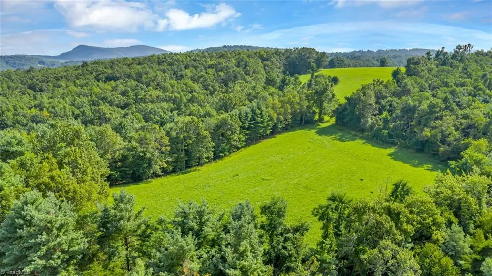 TBD Murphy Bend Road Ennice, NC 28623