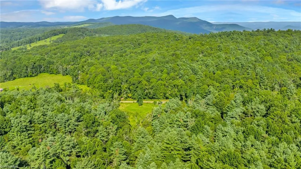 TBD Murphy Bend Road Ennice, NC 28623