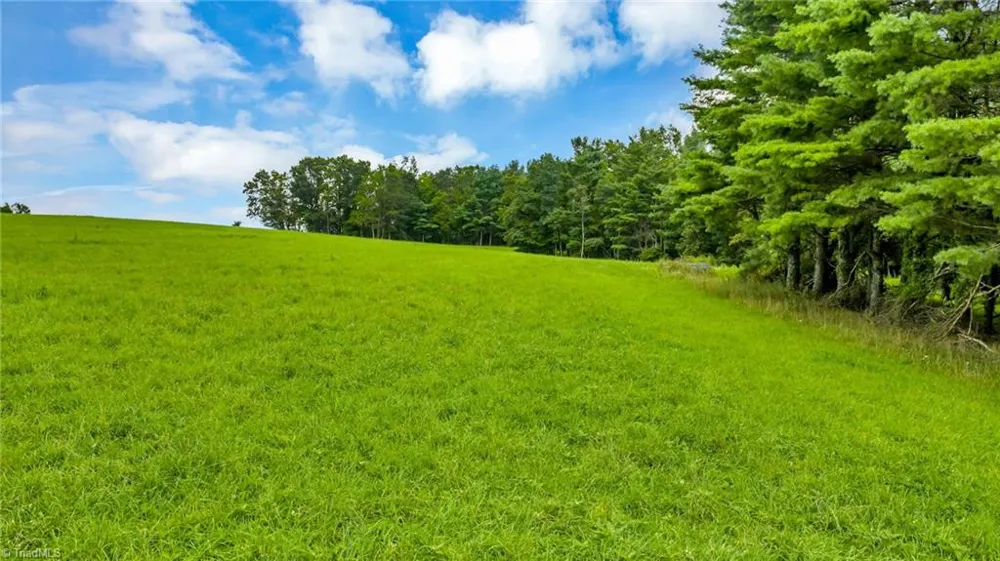 TBD Murphy Bend Road Ennice, NC 28623