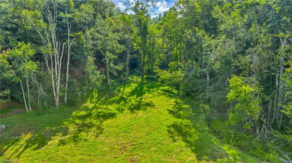 TBD Murphy Bend Road Ennice, NC 28623