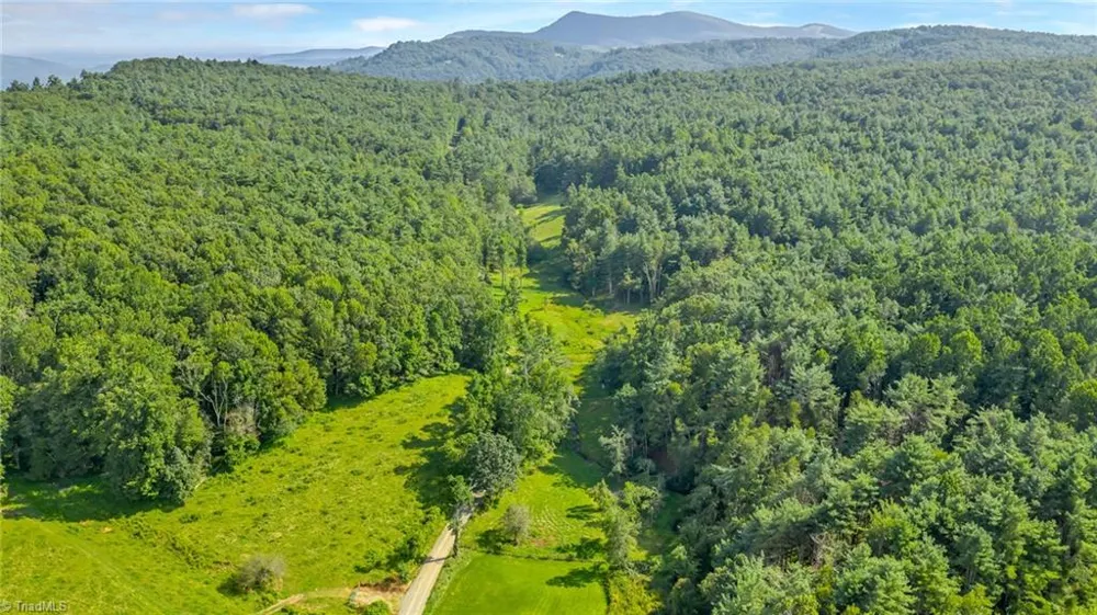 TBD Murphy Bend Road Ennice, NC 28623