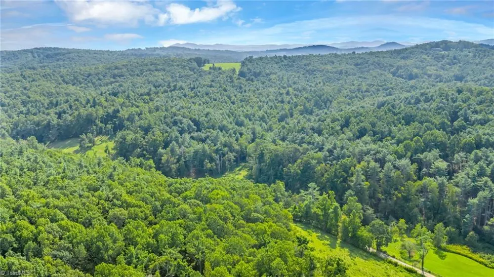 TBD Murphy Bend Road Ennice, NC 28623