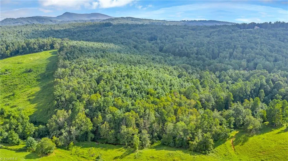 TBD Murphy Bend Road Ennice, NC 28623