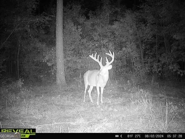 0 Seven Islands RD Madison, GA 30650