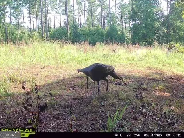 0 Seven Islands RD Madison, GA 30650