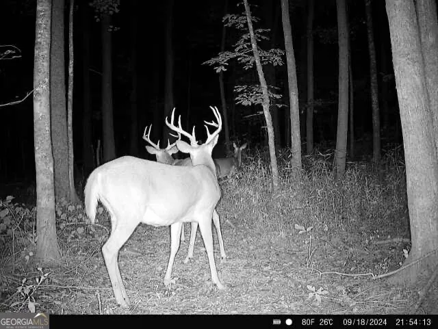 0 Seven Islands RD Madison, GA 30650